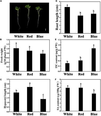 Salicylic Acid Regulates Indole-3-Carbinol Biosynthesis Under Blue Light in <mark class="highlighted">Broccoli</mark> Sprouts (Brassica oleracea L.)